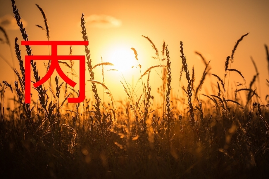 В Индии, начиная с детства, женский род ходит с точками на лбу. Кругом было тихо, как будто все вымерли...