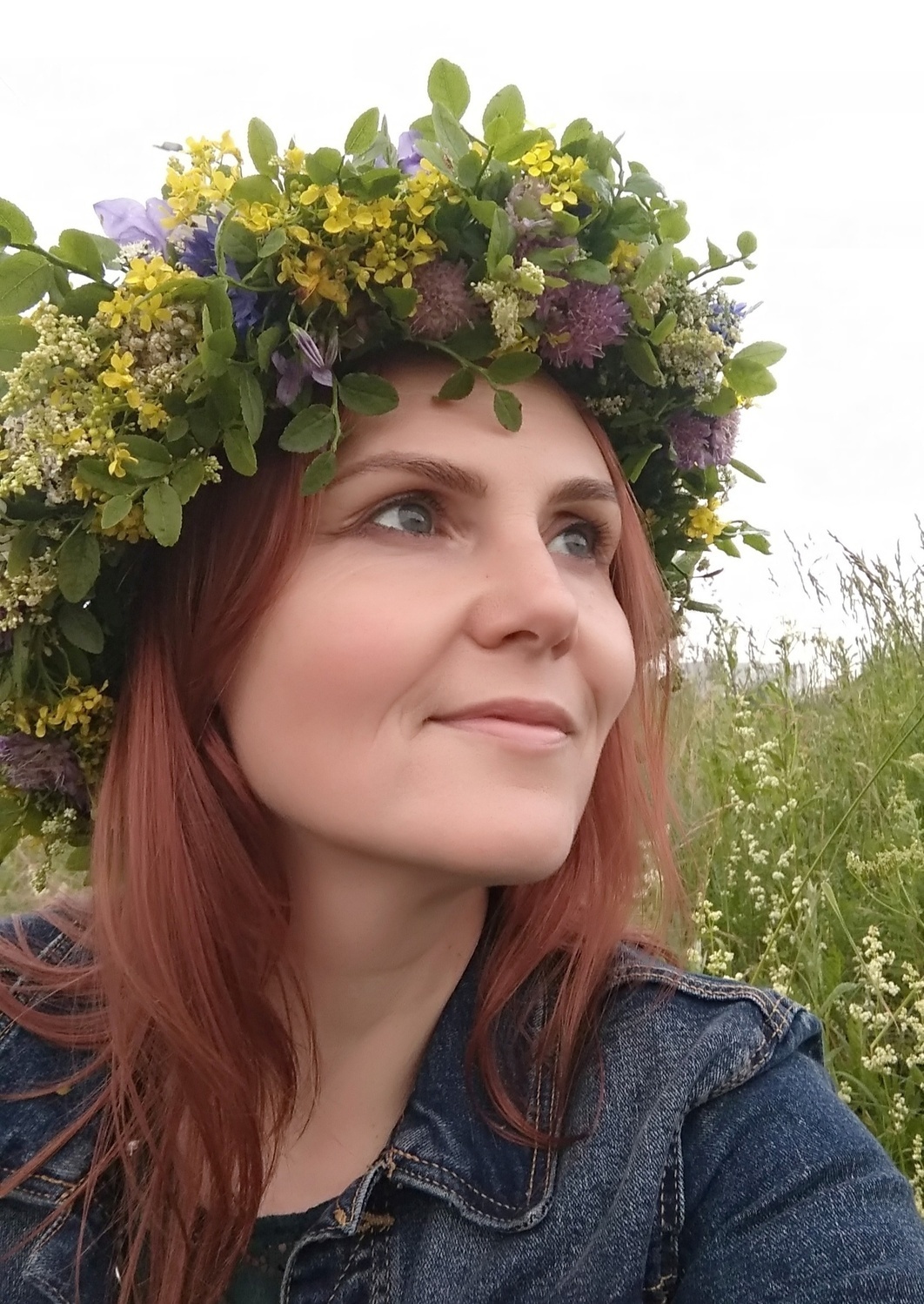 Описание изображения